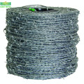 PVC Coated and Hot Dipped Dalvanized Fence Wire