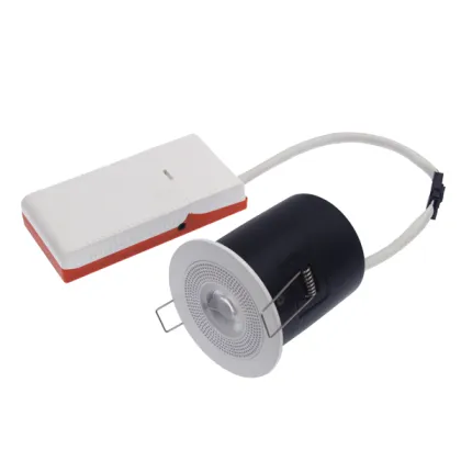 Smart downlight with speaker