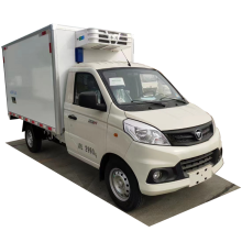 Foton 12V Car Freezer Cargo Van