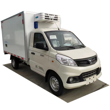 Foton 12V Car Freezer Cargo Van