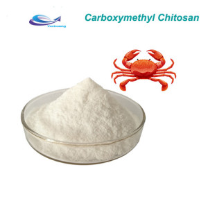 Hot sale Top Quality Carboxymethyl Chitosan