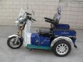 110cc مصغرة الدراجات المعوقين الغاز للمعاقين (SY110ZK-A)