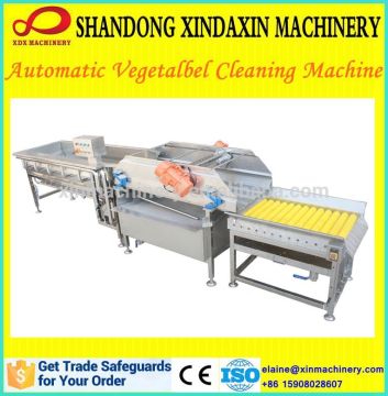 High efficient vegetable washing machine/ cleaning machine/cleaning plant