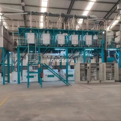 Hongdefa 100T Maize Corn Grain Processing Machinery