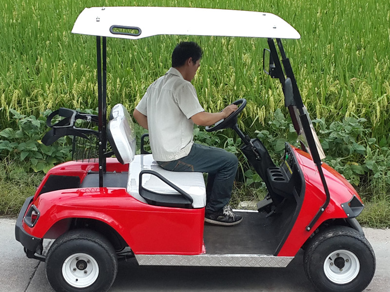 Two Seat Golf Cart