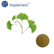 good&high quality ginkgo biloba extract