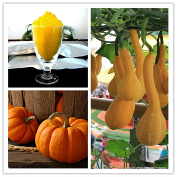 Spray-Drying Natural Pure Pumpkin Powder