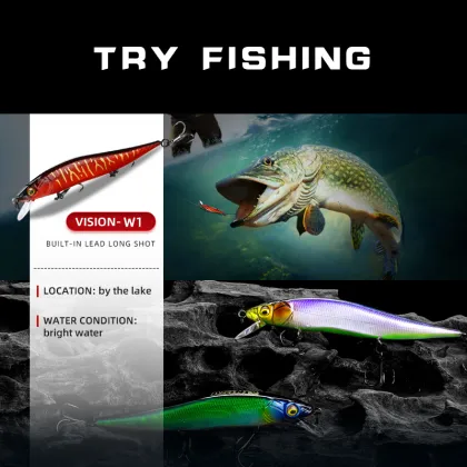 Bearking Asinia Logo Vision 110 Shad 11cm 14g Minnow Wobbler Lure