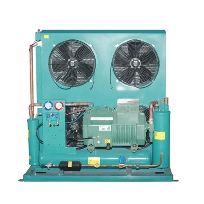 Customized Bitzer Semi-Enclosed Condenser Unit for Refrigerated Meat and Seafood Storage (10HP/20HP)