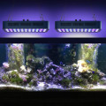 Lampe d&#39;aquarium à spectre complet pour récif de corail