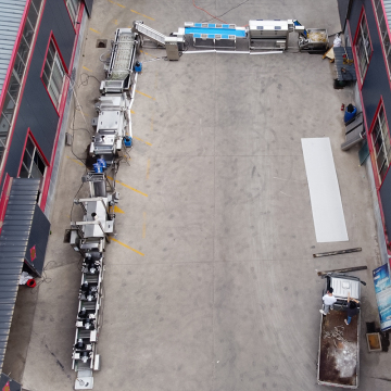 Customized Potato Chips and Frozen French Fries Production Line