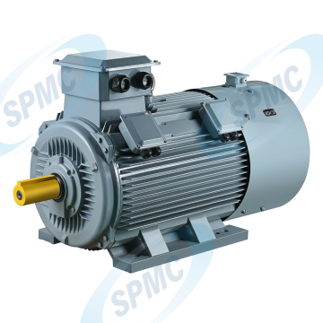 Large Power Three Phase Induction Motor