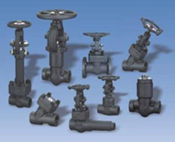 Forged Steel GGC Valve