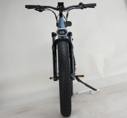 FH-MECHO CRU 48V 20Ah Lithium Battery Electric Bicycle