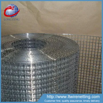 High quality 1/4 x 1/4 galvanized welded wire mesh