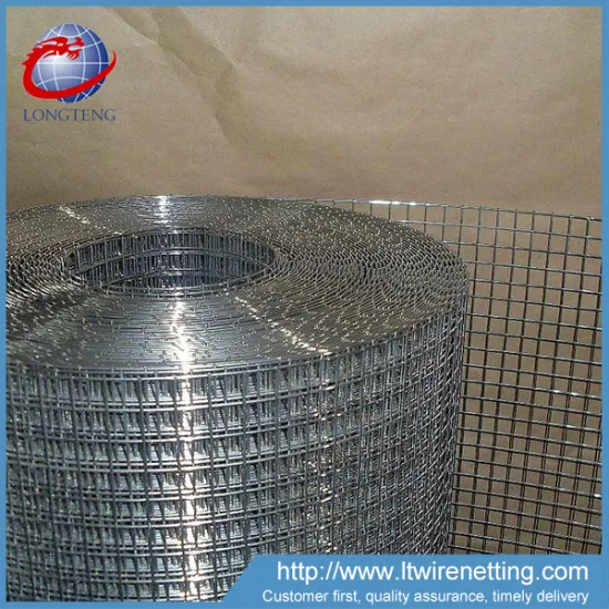 High quality 1/4 x 1/4 galvanized welded wire mesh