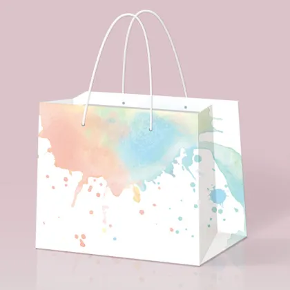 Custom Colored Clothing Paper Bag