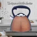 Golden Frosted Stainless Steel Whistling Tea Kettle