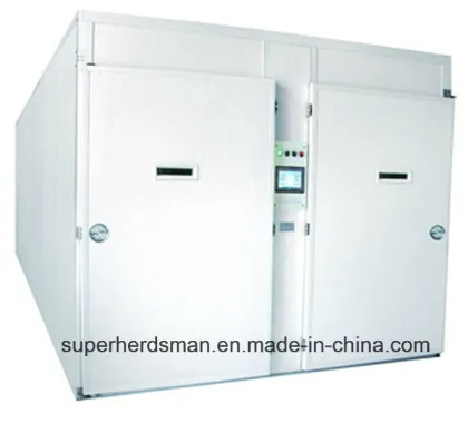 Box Chicken Egg Incubator