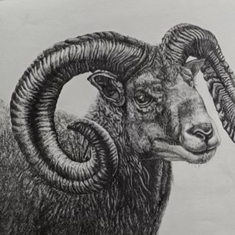 Pen Painting Goat