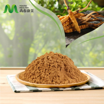 Cordyceps Militaris Extract benefici per la salute del fegato
