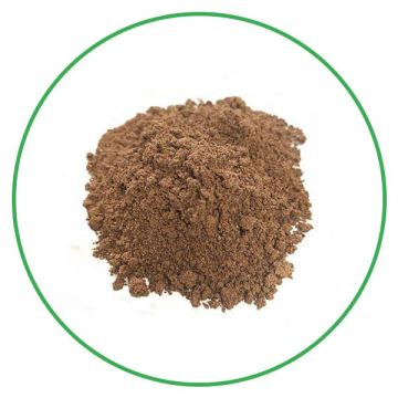 Hot sale no additive organic noni fruit powder