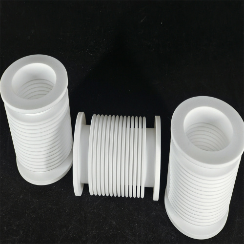 China PTFE Bellows Seal for Extreme Corrosion Resistance Supplier