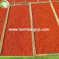 Factory Fruits Premium Low-Sulfur Goji Berry