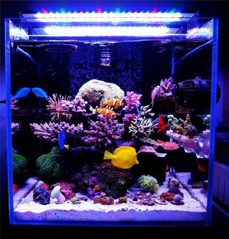 LED Aquarium Lamp for Coral Reef Lighting