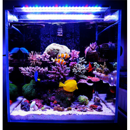 165w aquarium led light for marine fish tank