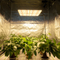 150 320 watt led grow light