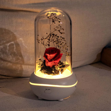 Glass flower reed aroma diffuser