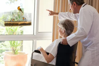 Acrylic Large window Bird Feeder with power Suction Cups and drain crystal bird feeder