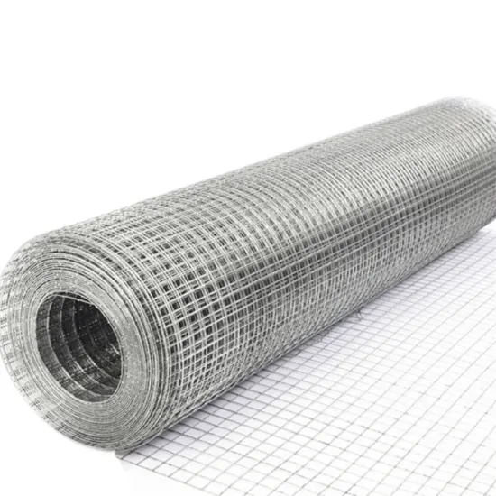 Factory Supply Stainless Steel Welded Wire Mesh Net Roll