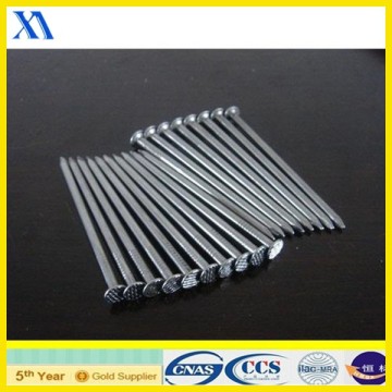 galvanized nails/hot dipped galvanized boat nails/zinc galvanized nails