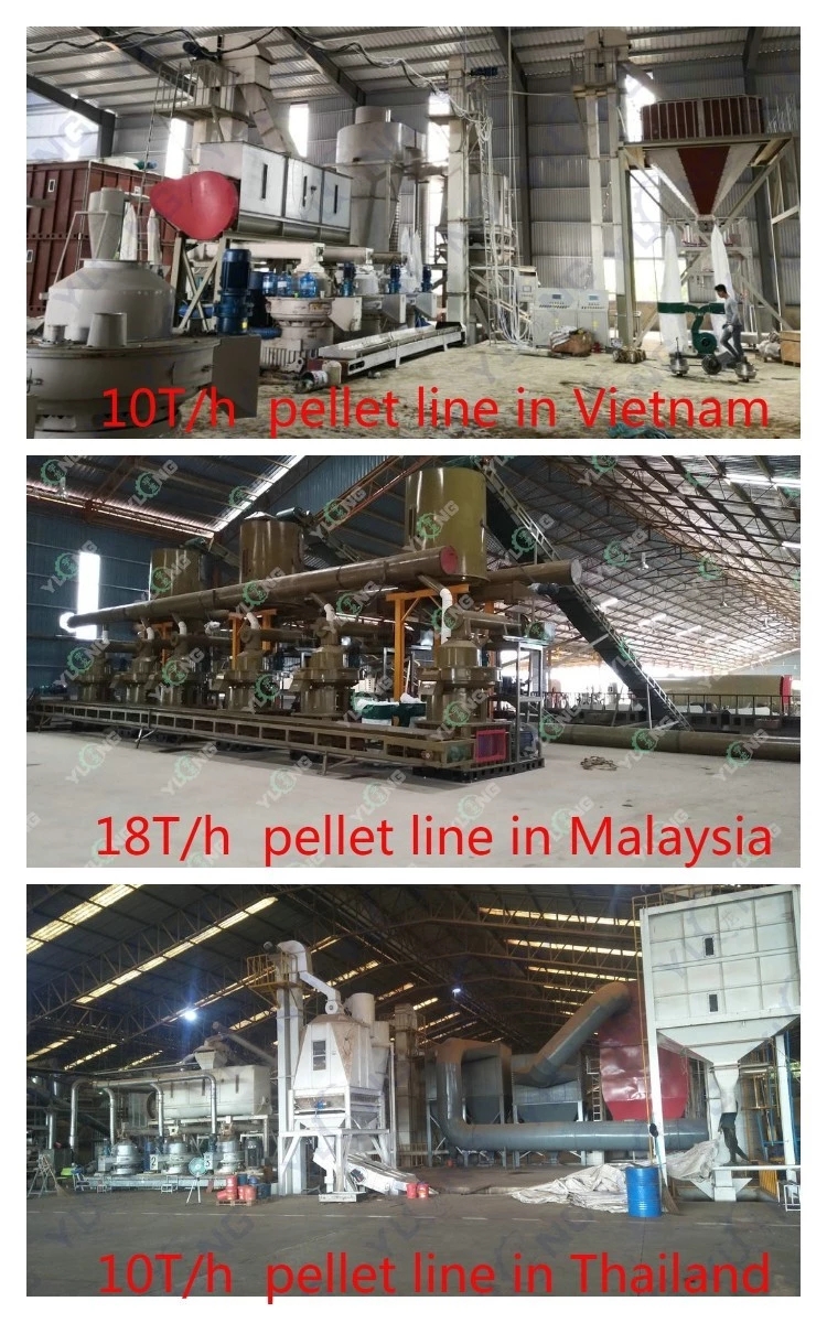 Yulong 132KW Sludge Pellet Machine