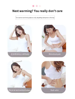 Convenient Home Physiotherapy Warm Moxibustion Instrument with Circulating Heating