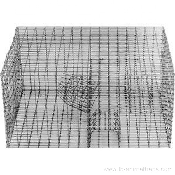 Repeating Sparrow Control Trap Wire Cage