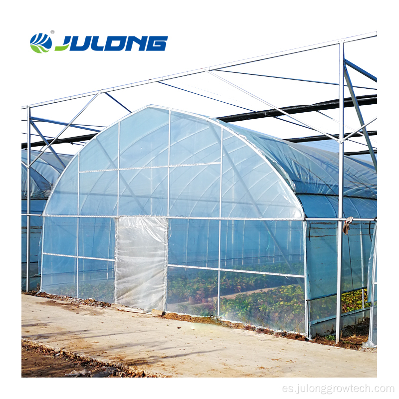 Hydroponics Farm Single-Span Greenhouse