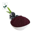 Extrato de Bilberry para melhorar o extrato de visão