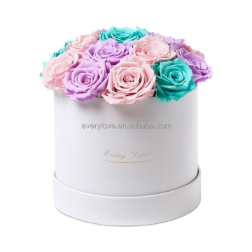 Every Love Hot Sale: Long Life Eternal 6 Pieces Preserved Roses in Round Gift Box for Valentine's Day