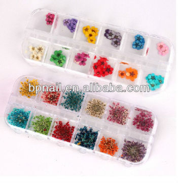 3D Real Flower For Nail Art Decoration