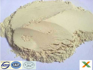 factory high quality wheat protein powder