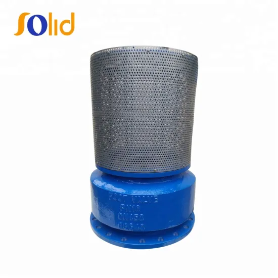 Ductile Cast Flange End Foot Valve With Strainer