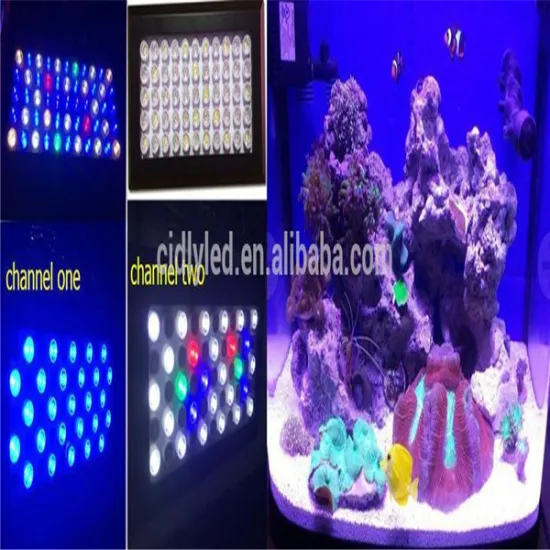 China Cidly hot sale 120W dimmable LED Aquarium Light for coral reef tank,55pcs 3W led chip