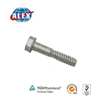 Rail Coach Screw, Coach Screw Supplier, Coach Screw Square Head Jiangsu