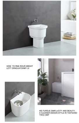 The introduction of the mop sink