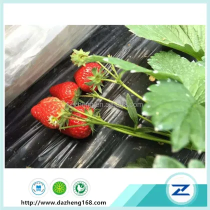 agricultural film strawberry PE film garden mulch film