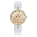 Luxury Mop Pearl Quartz Minimalism Watch for Women