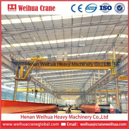 Power Plants Overhead Crane